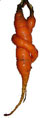 A Very Strange Carrot